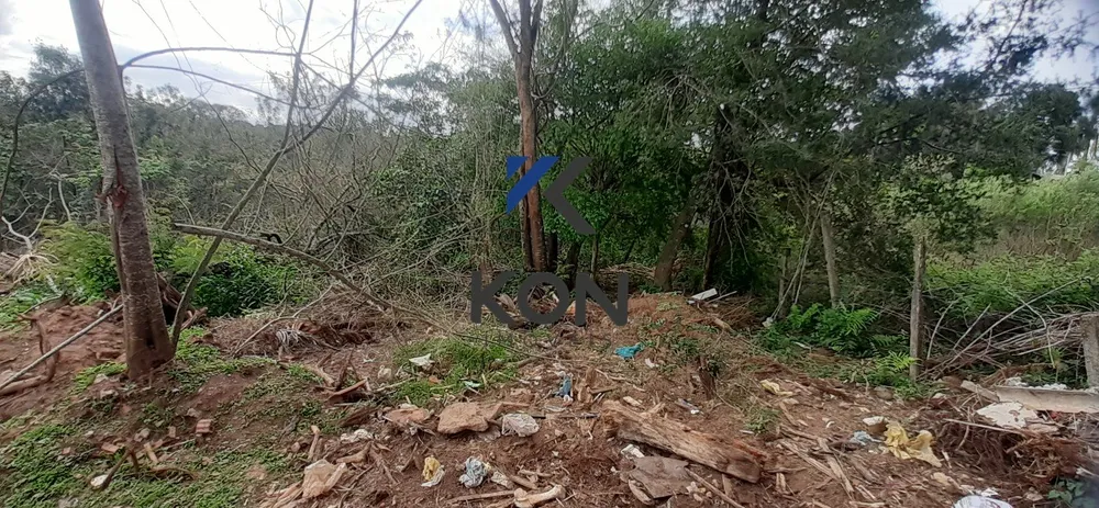 Chácara, 1 hectares - Foto 16