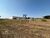 Loteamento e Condomínio, 5000 m² - Foto 4
