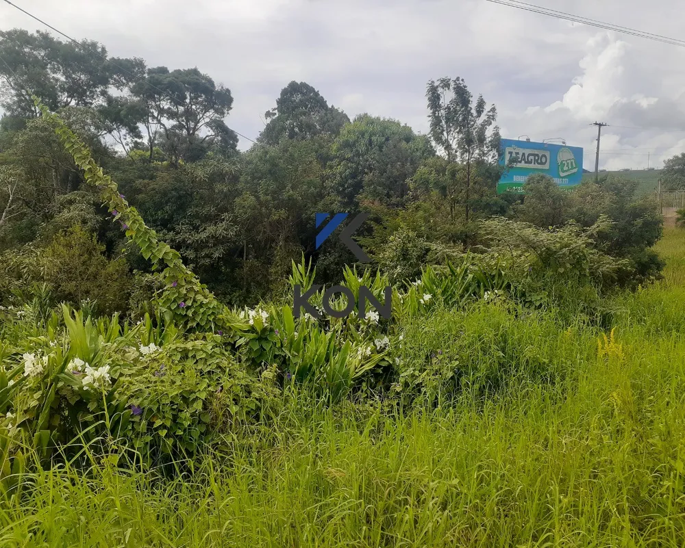 Loteamento e Condomínio, 9 hectares - Foto 6