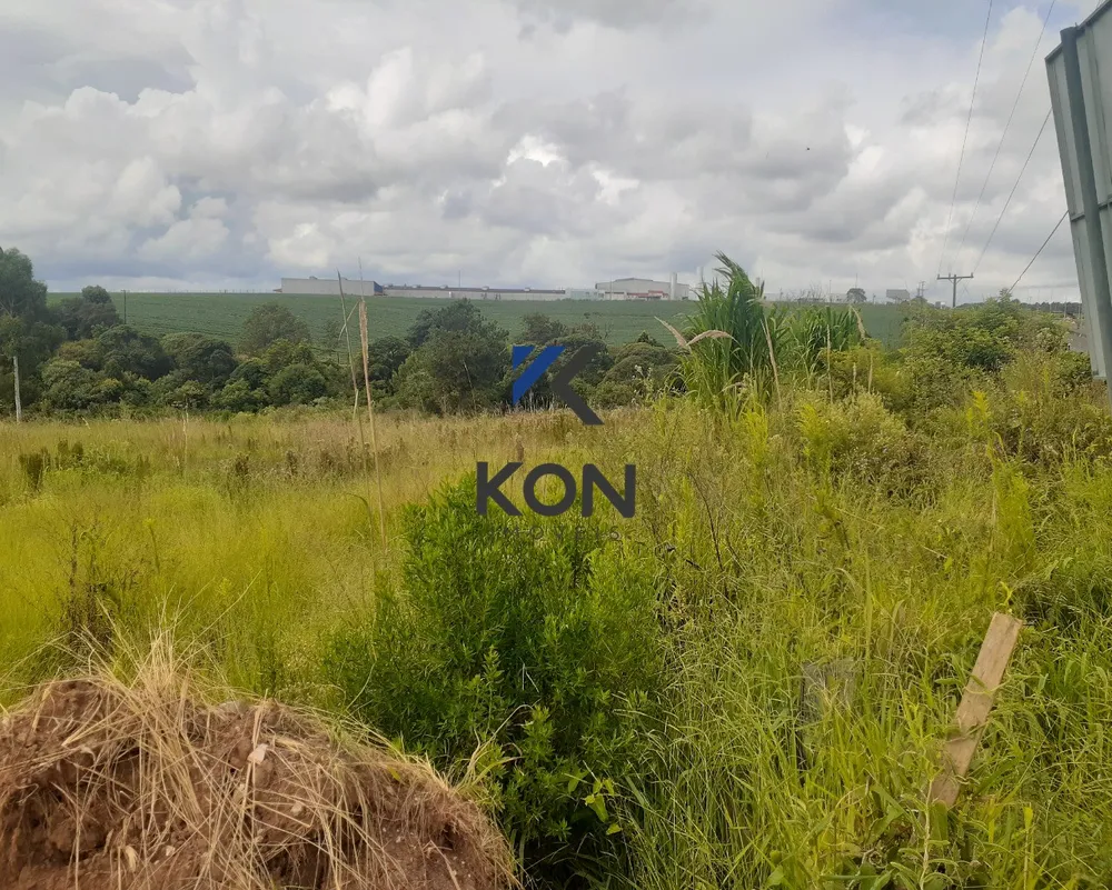 Loteamento e Condomínio, 9 hectares - Foto 13
