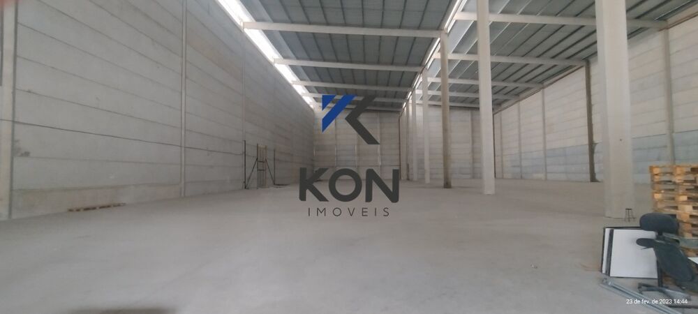Depósito-Galpão, 5000 m² - Foto 2