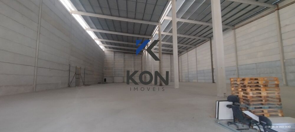 Depósito-Galpão, 5000 m² - Foto 1