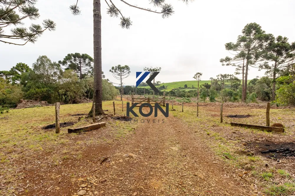 Fazenda, 450 m² - Foto 6
