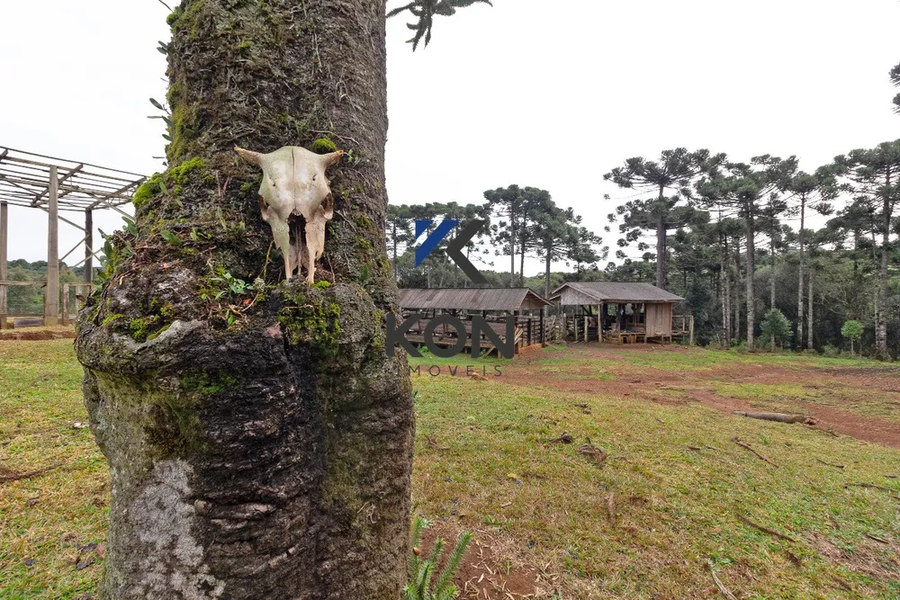 Fazenda, 450 m² - Foto 11