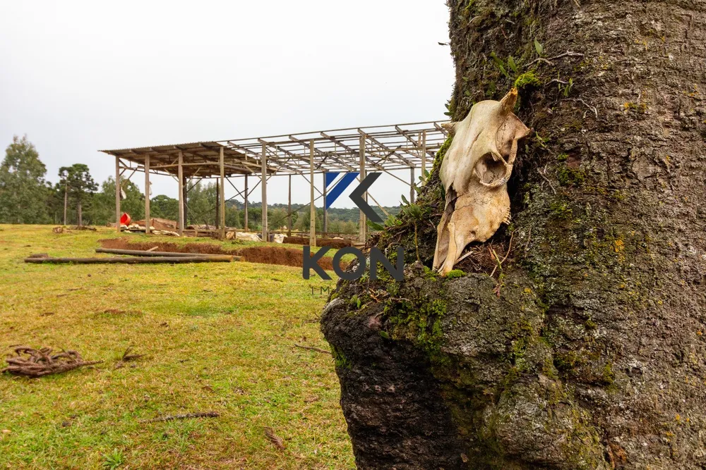 Fazenda, 450 m² - Foto 12