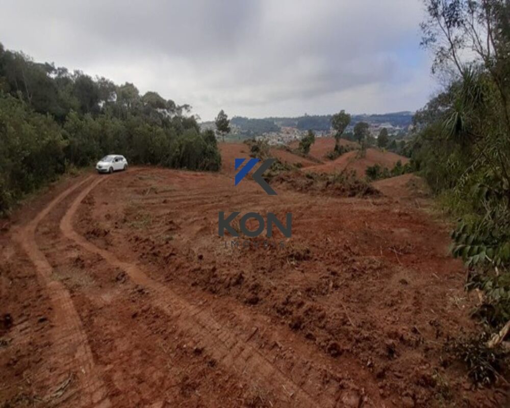 Terreno, 11 hectares - Foto 3