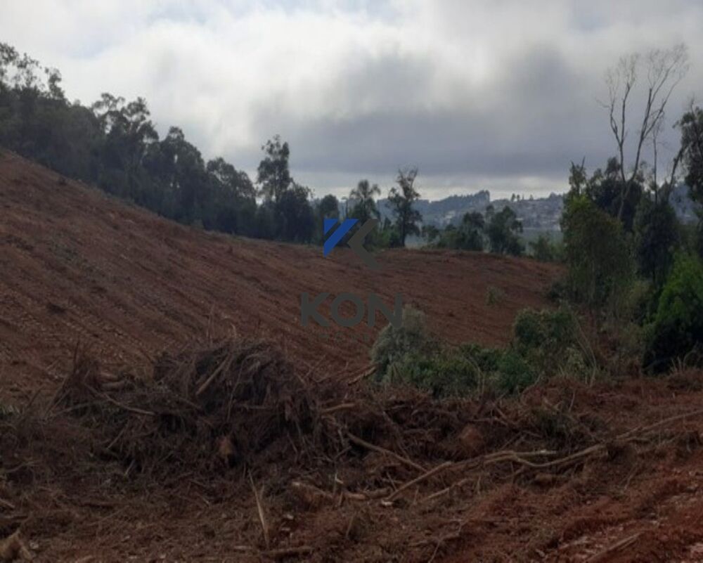 Terreno, 11 hectares - Foto 4