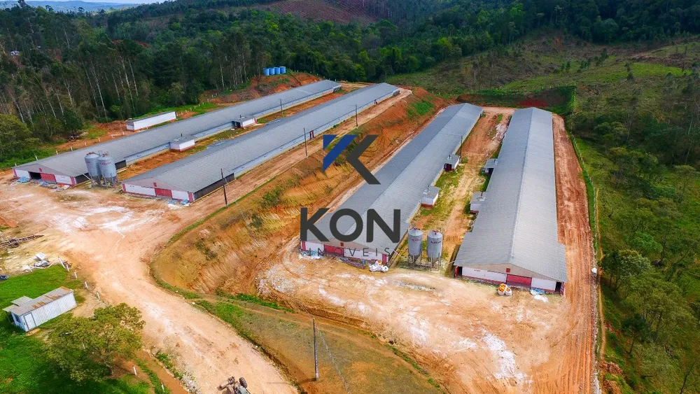 Fazenda, 32 hectares - Foto 8