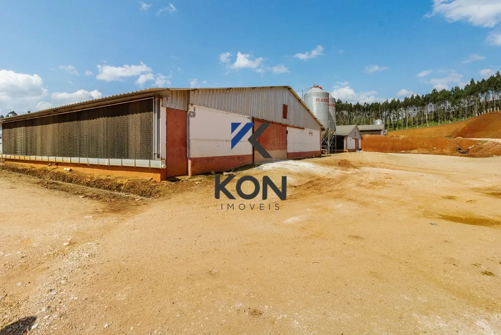 Fazenda, 32 hectares - Foto 19