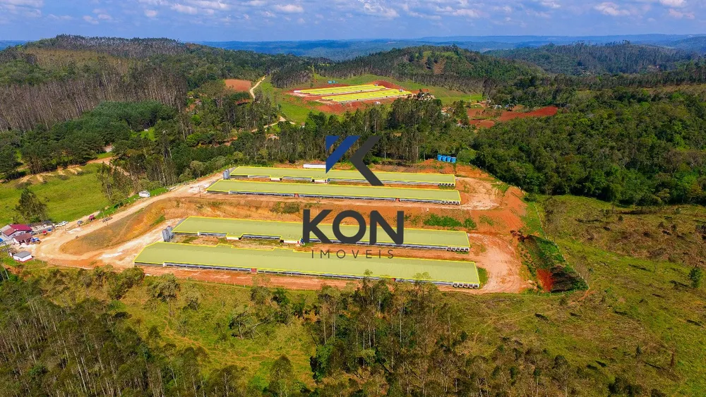 Fazenda, 32 hectares - Foto 1