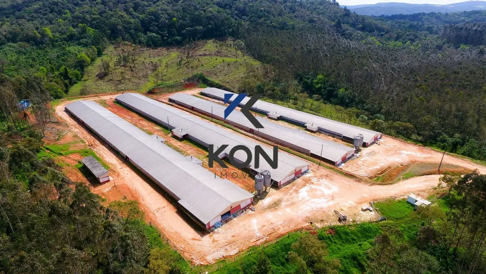 Fazenda, 32 hectares - Foto 7
