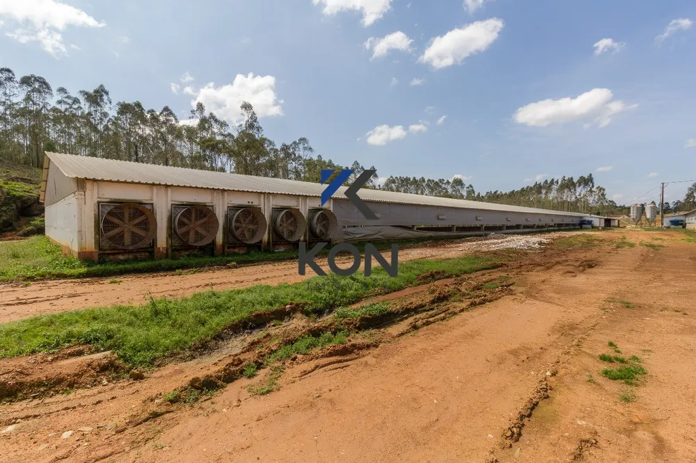 Fazenda, 32 hectares - Foto 10