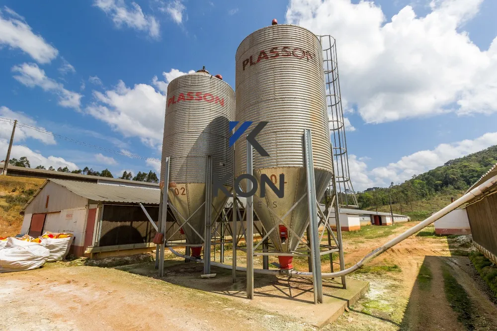 Fazenda, 32 hectares - Foto 11