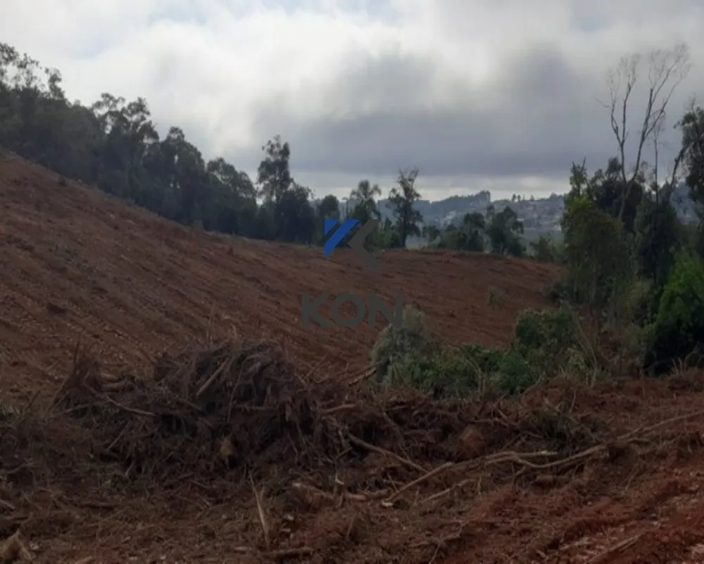 Terreno, 11 hectares - Foto 16