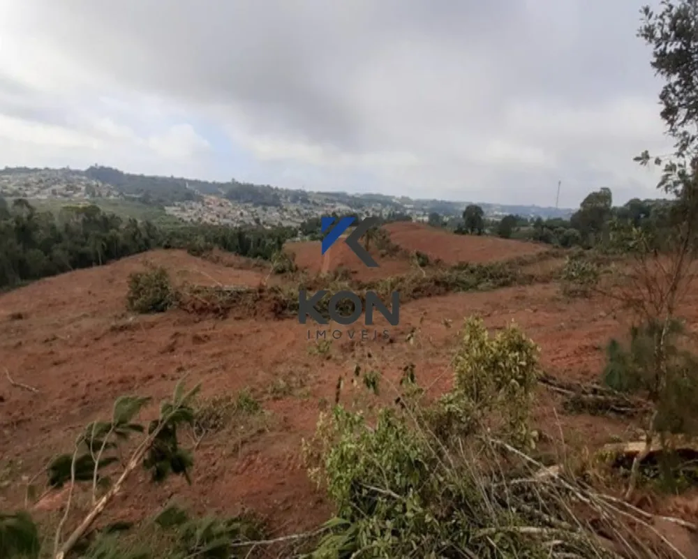 Terreno, 11 hectares - Foto 12