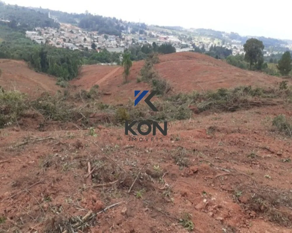 Terreno, 11 hectares - Foto 13