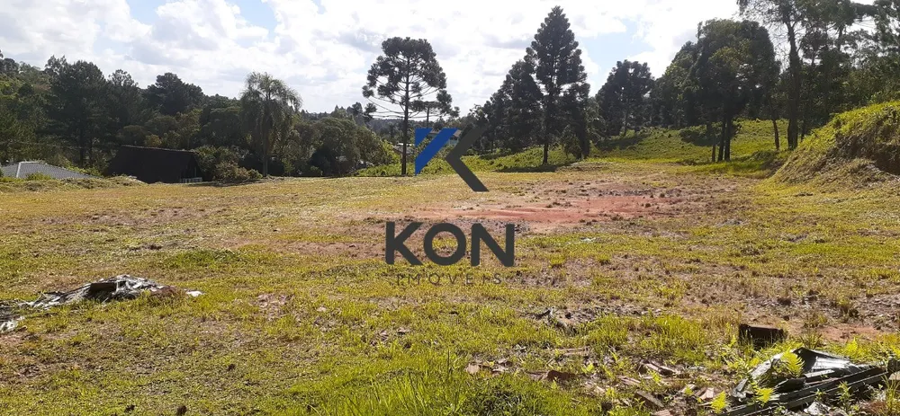 Depósito-Galpão, 4600 m² - Foto 14
