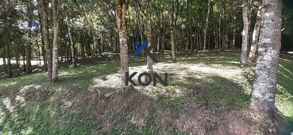 Depósito-Galpão, 4600 m² - Foto 13