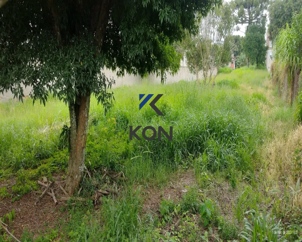 Terreno, 2572 m² - Foto 8