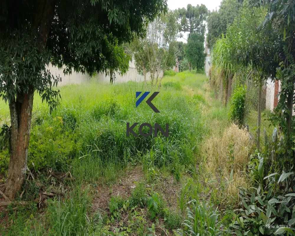 Terreno, 2572 m² - Foto 7