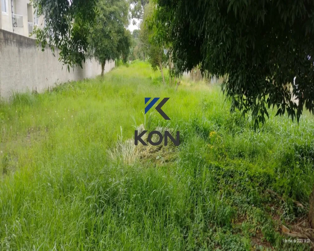 Terreno, 2572 m² - Foto 13