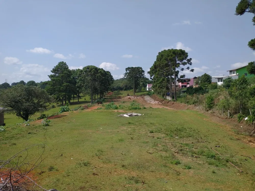 Loteamento e Condomínio, 8500 m² - Foto 11