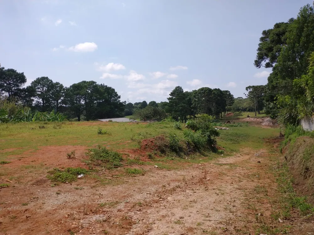 Loteamento e Condomínio, 8500 m² - Foto 4