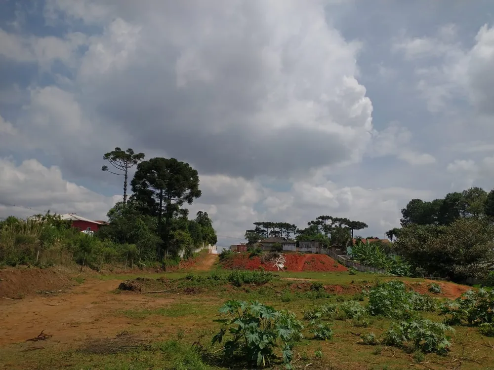 Loteamento e Condomínio, 8500 m² - Foto 9
