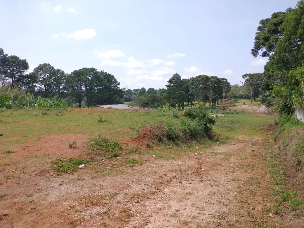Loteamento e Condomínio, 8500 m² - Foto 8