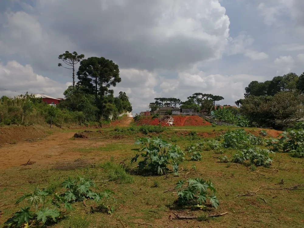 Loteamento e Condomínio, 8500 m² - Foto 7
