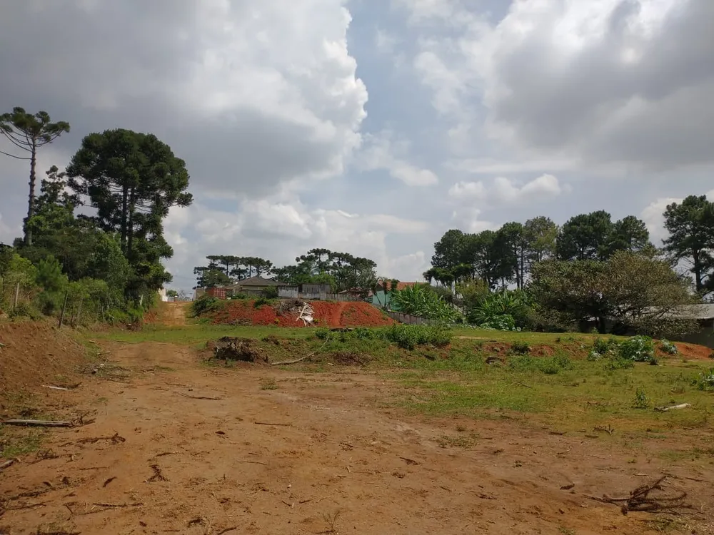 Loteamento e Condomínio, 8500 m² - Foto 10