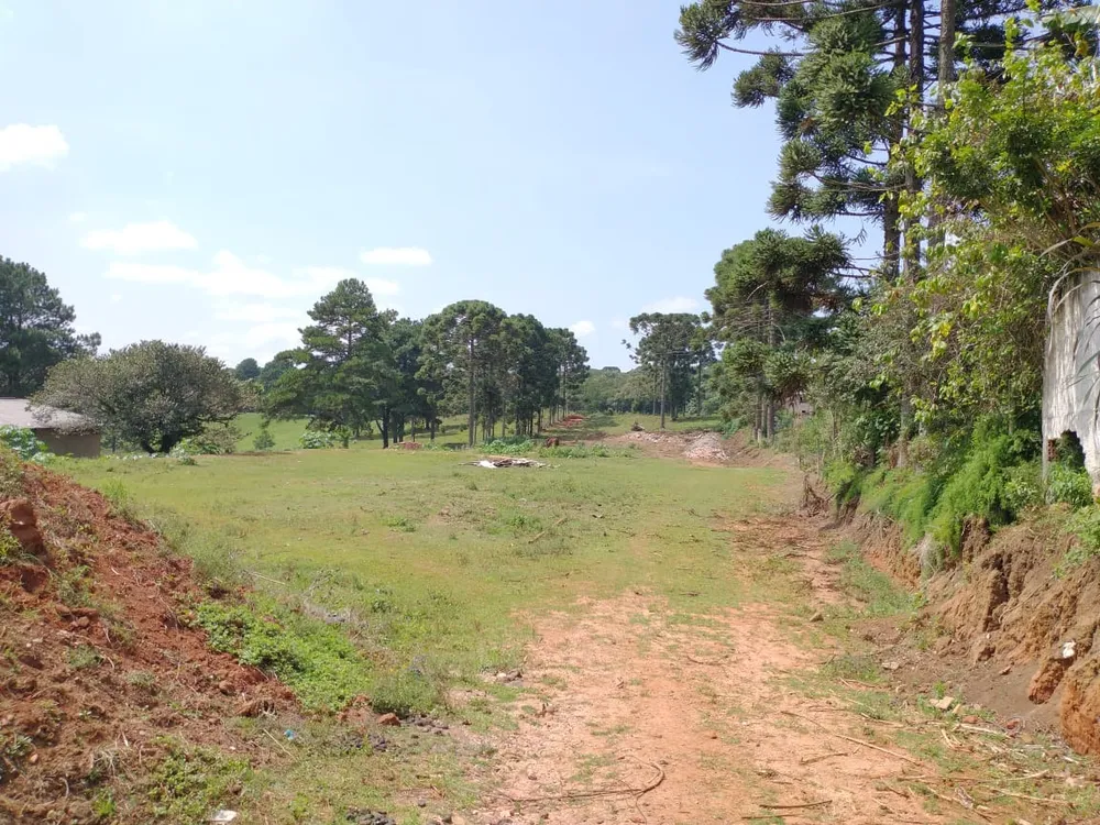 Loteamento e Condomínio, 8500 m² - Foto 5