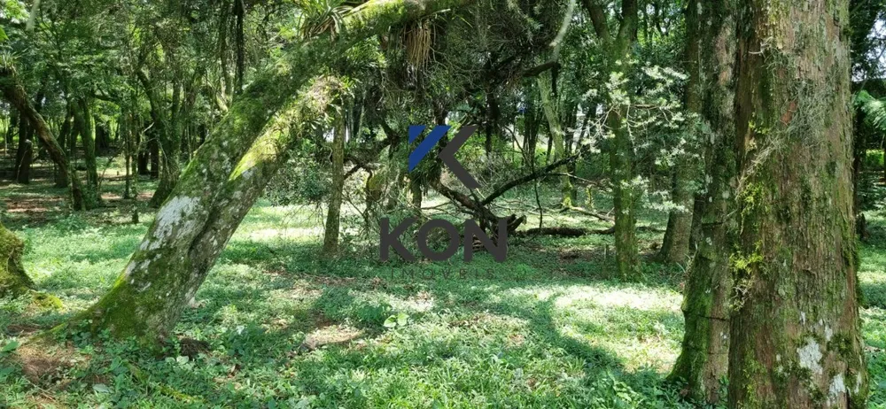 Loteamento e Condomínio, 2 hectares - Foto 10