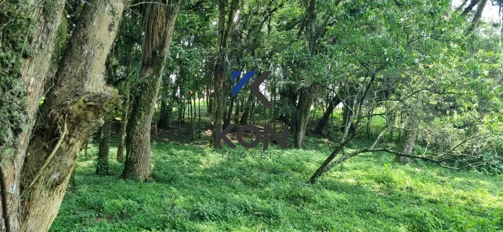 Loteamento e Condomínio, 2 hectares - Foto 9