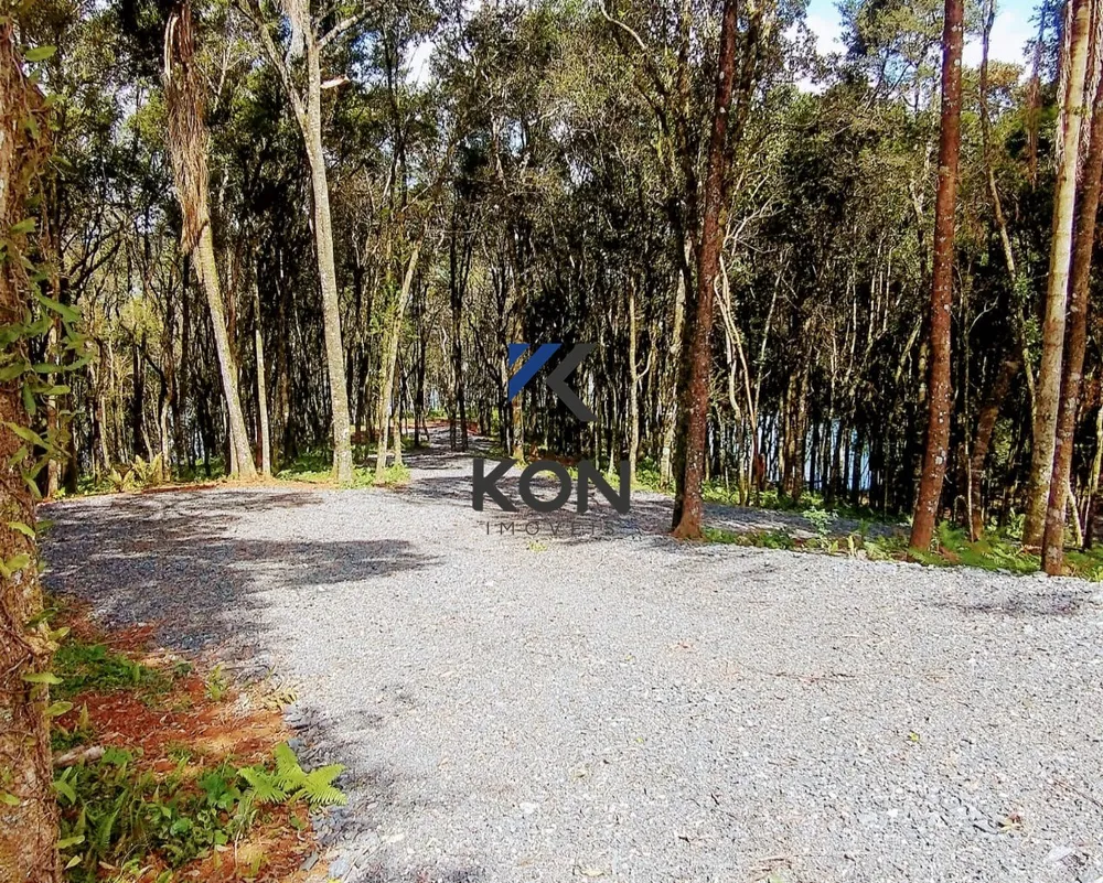 Chácara, 2 quartos, 2 hectares - Foto 13
