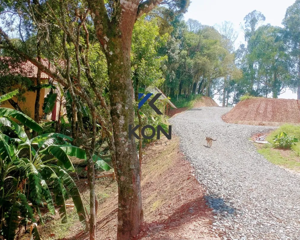 Chácara, 2 quartos, 2 hectares - Foto 19