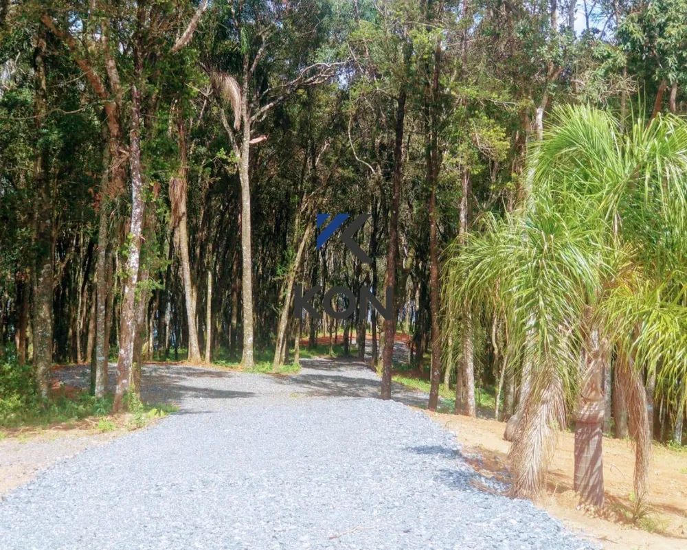 Chácara, 2 quartos, 2 hectares - Foto 16