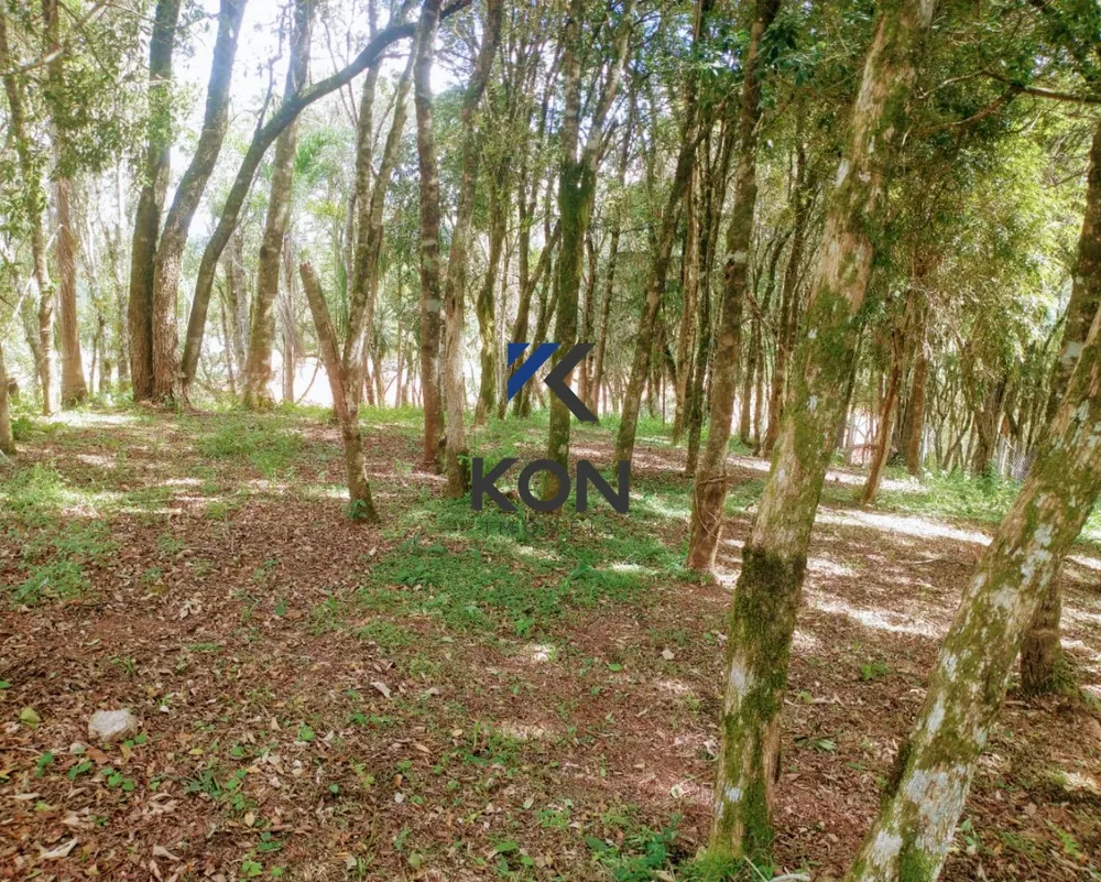 Chácara, 2 quartos, 2 hectares - Foto 18