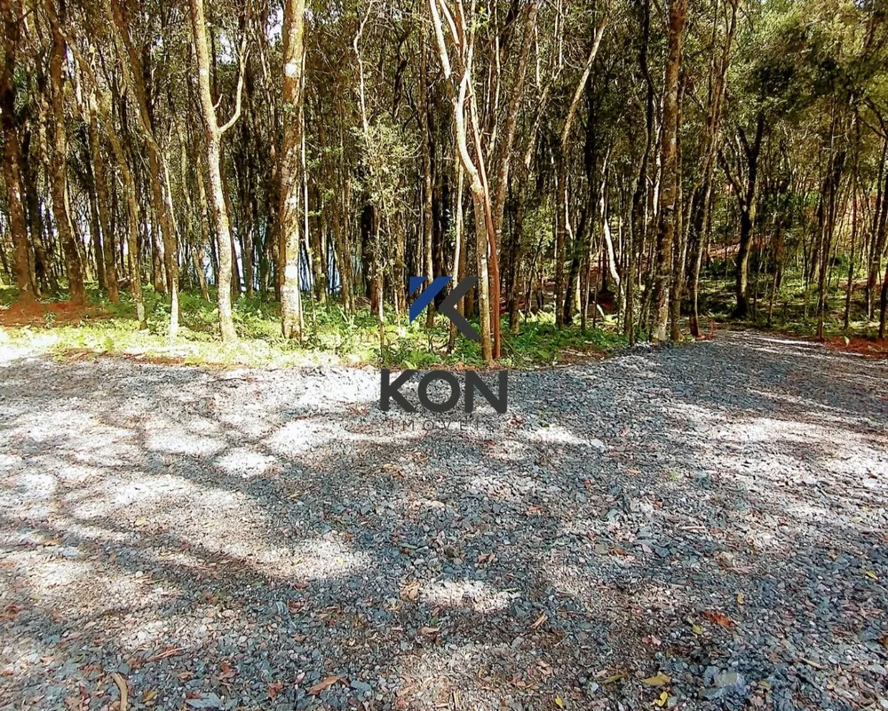 Chácara, 2 quartos, 2 hectares - Foto 12