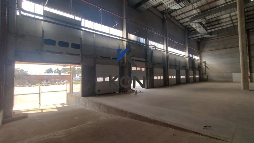 Depósito-Galpão-Armazém para alugar, 6000m² - Foto 3