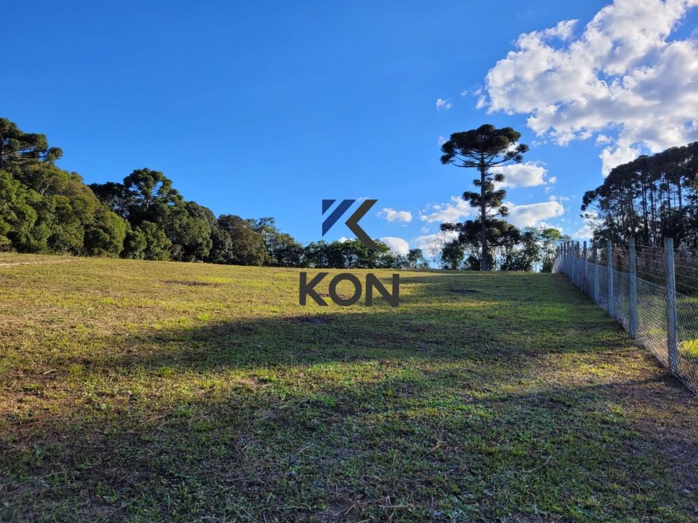 Chácara, 2 quartos, 2 hectares - Foto 3