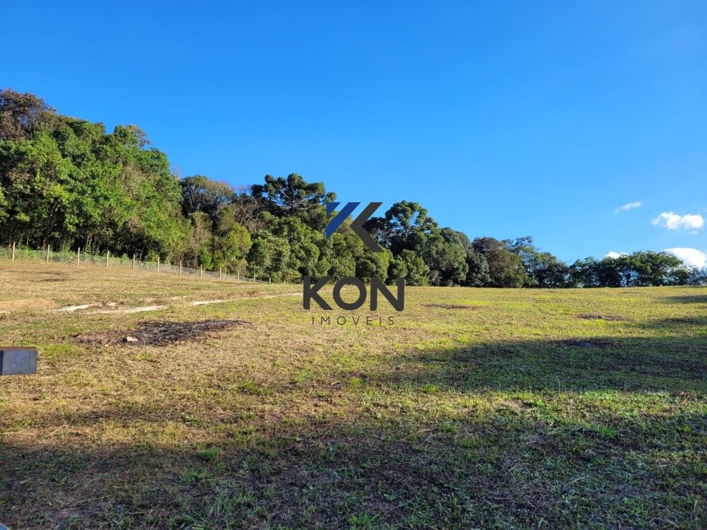 Chácara, 2 quartos, 2 hectares - Foto 2