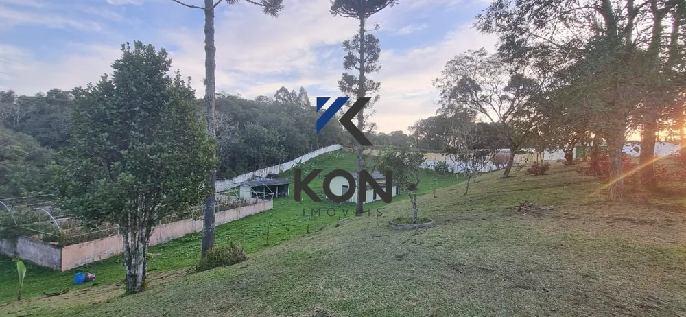 Sítio, 4 quartos, 7 hectares - Foto 16