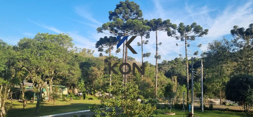 Sítio, 4 quartos, 7 hectares - Foto 7