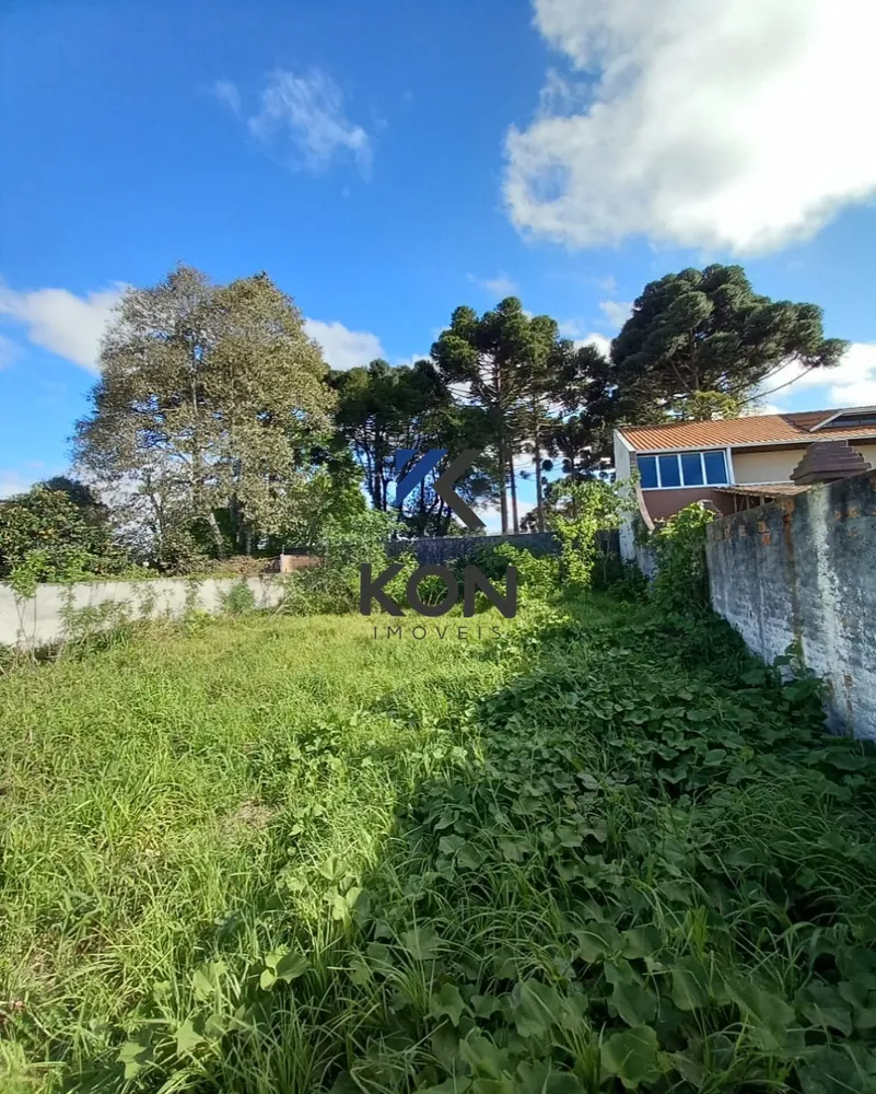 Terreno, 448 m² - Foto 11
