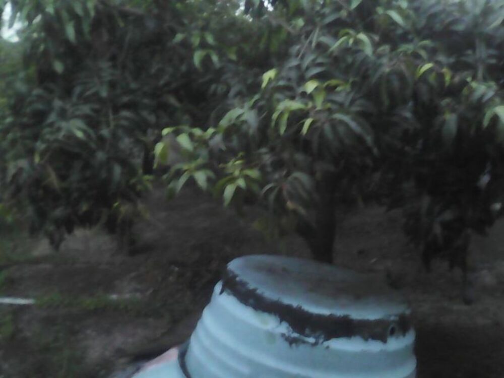 Terreno, 410 m² - Foto 7