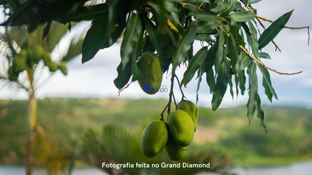 Terreno, 1000 m² - Foto 27