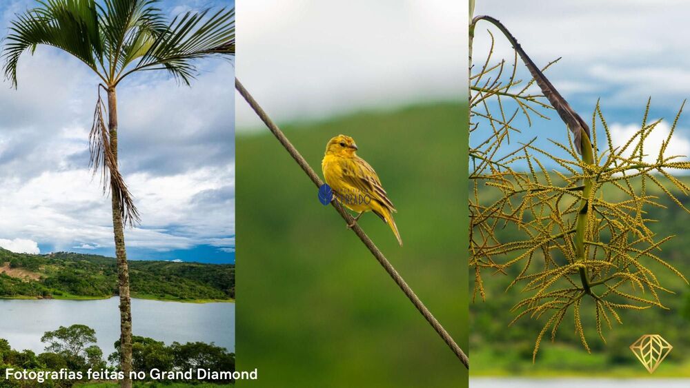 Terreno, 1000 m² - Foto 26