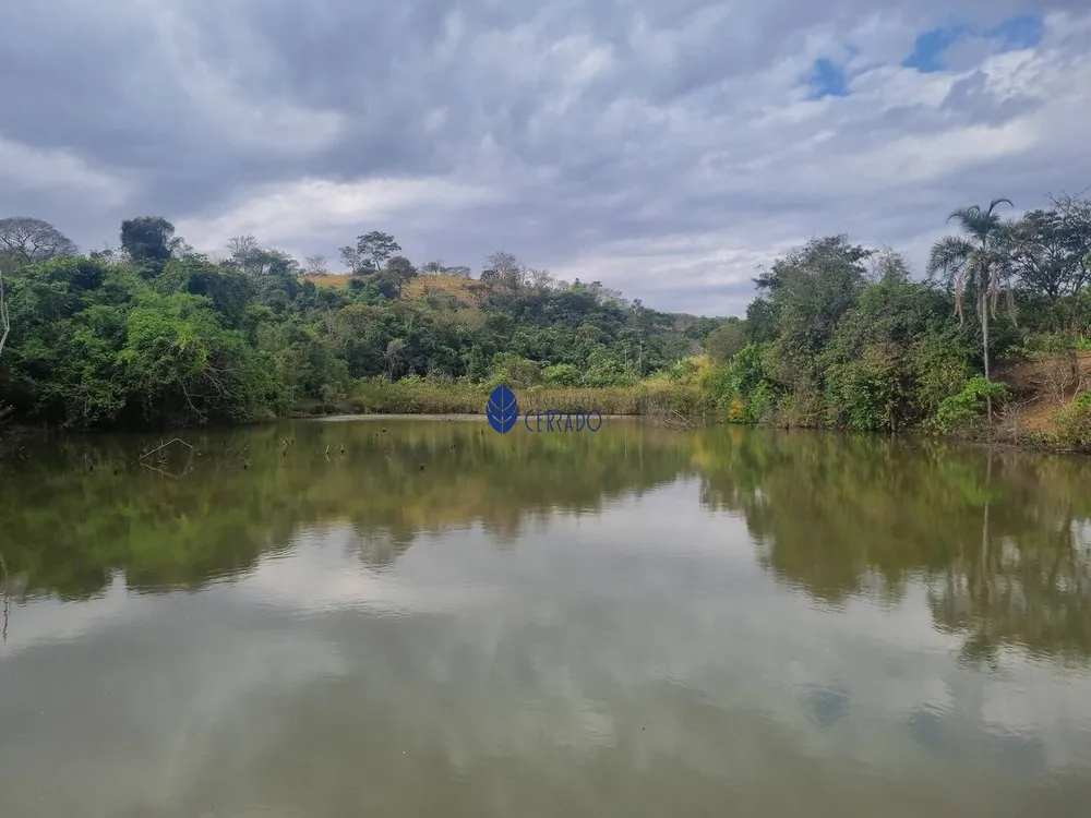 Fazenda, 45 hectares - Foto 17