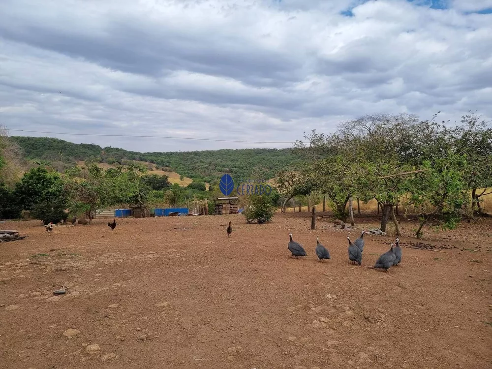 Fazenda à venda com 2 quartos, 100m² - Foto 7